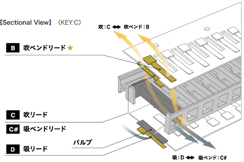 【Sectional View】（KEY:C）