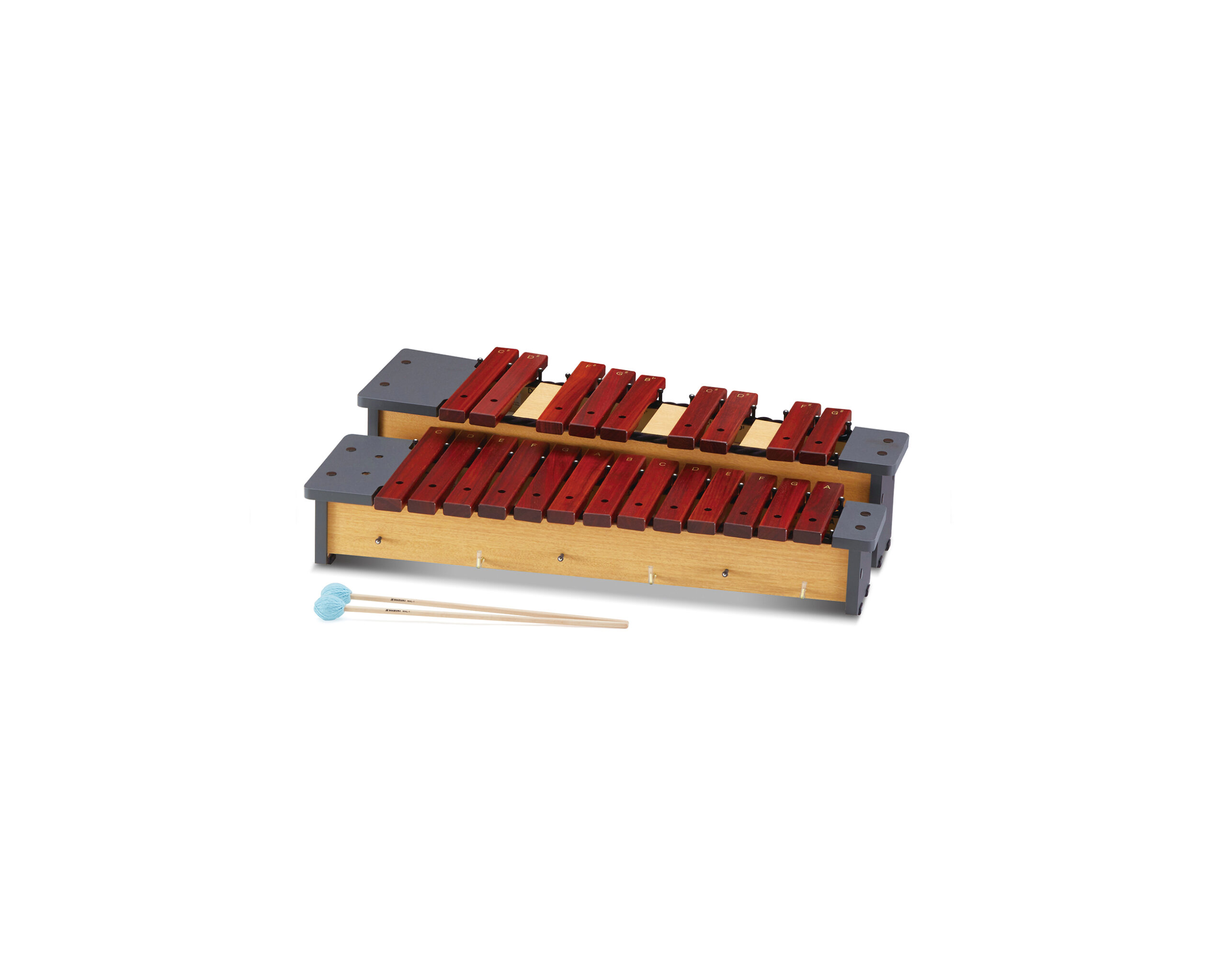 鈴木楽器製作所 電気大正琴 蘭　ソプラノ 91MbZ45sIeL._UF894,1000_QL80_.jpg