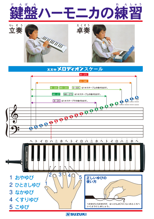 メロディオンの図鑑