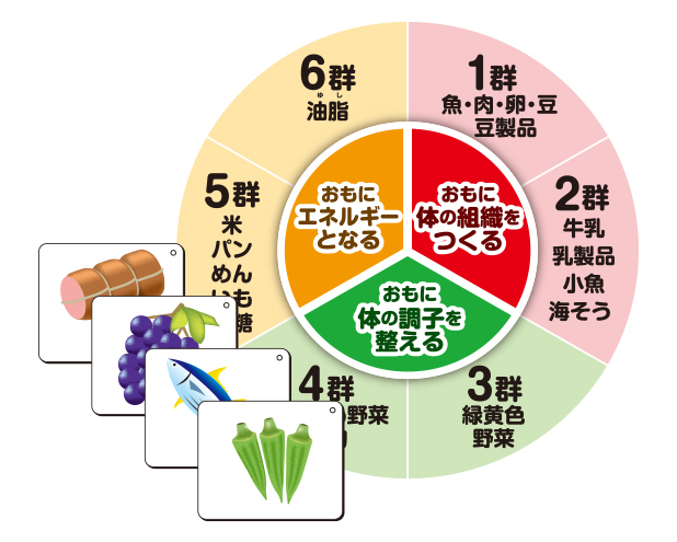 食材マグネットカード SYM-01