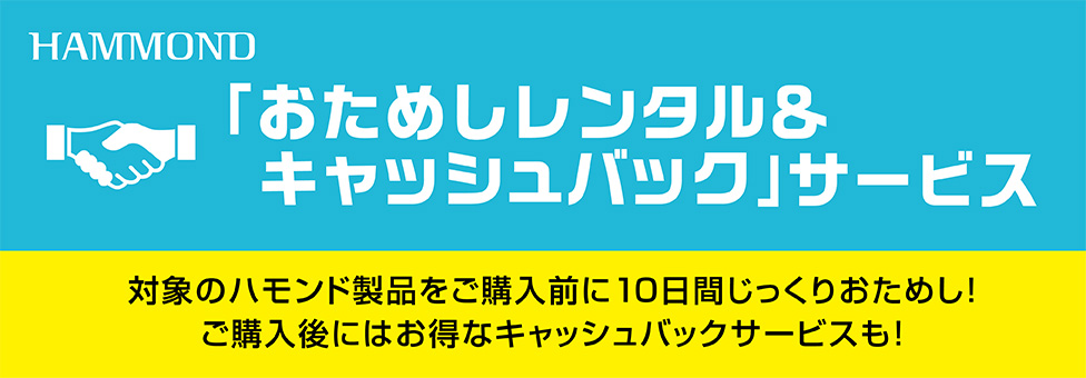 おためしレンタル